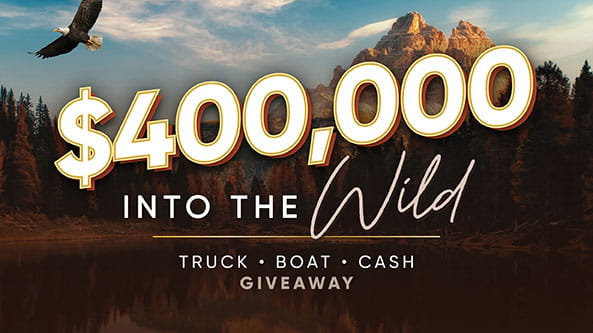 $400,000 Into the Wild